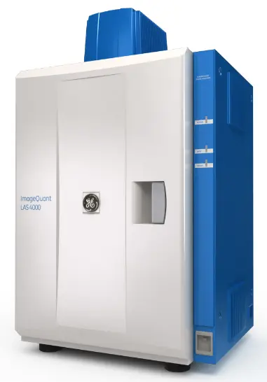 Image Quant LAS4000 mini